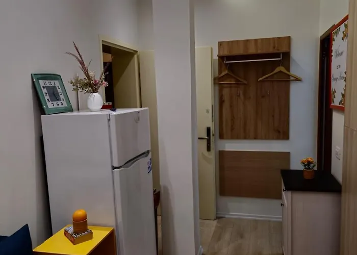 Myslym Shyri Cozy Lovely Orange ティラナ